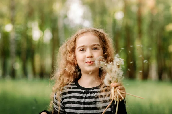 Liten Flicka Med Lockigt Hår Blåser Vita Maskrosor Sommaren Parken — Stockfoto