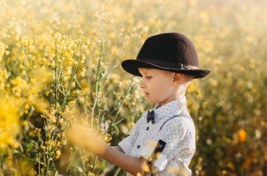 Little boy in an oilseed rape field with flowering