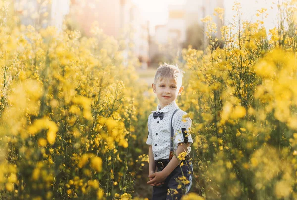 Little Boy Having Fun Nature Summer Cute Adorable Child Oilseed —  Fotos de Stock