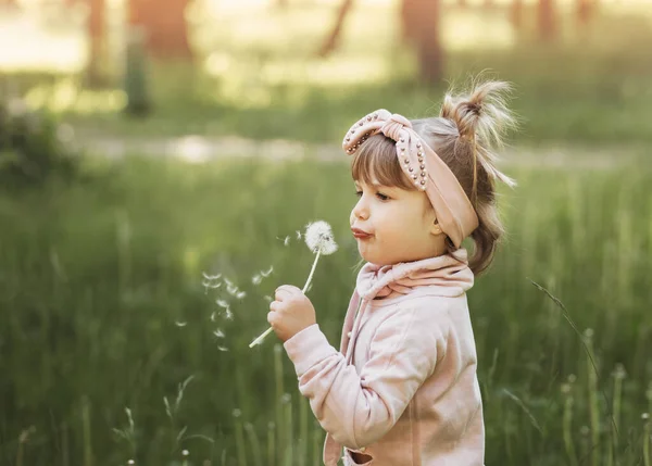 Kleines Mädchen Bläst Auf Weißem Löwenzahn Sommerpark — Stockfoto