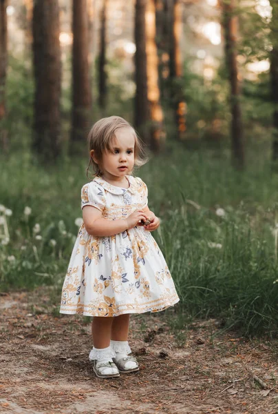 Słodka Dziewczynka Sukience Spaceruje Ścieżką Parku Latem — Zdjęcie stockowe