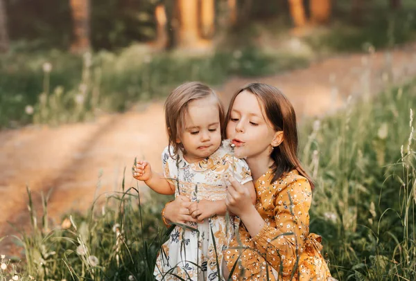 İki tatlı kız kardeş yazın doğada karahindiba ile oynuyorlar.