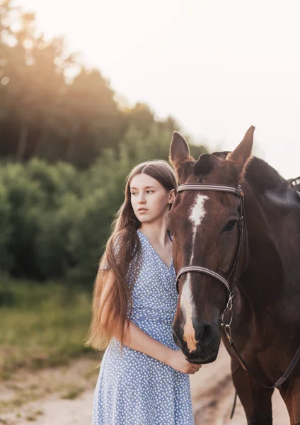 Portrait Une Belle Fille Aux Cheveux Longs Cheval Brun — Photo