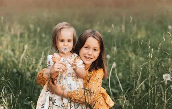 Two Cute Girls Sisters Playing Dandelion Summer Nature — Stock Photo, Image