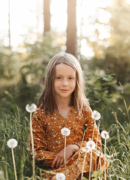 Retrato Una Hermosa Niña Entre Dientes León Blancos — Foto de Stock