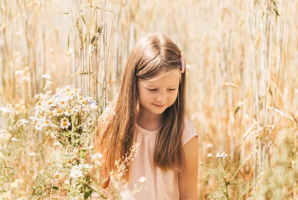 Liten Vacker Flicka Med Bukett Prästkragar Ett Vetefält — Stockfoto