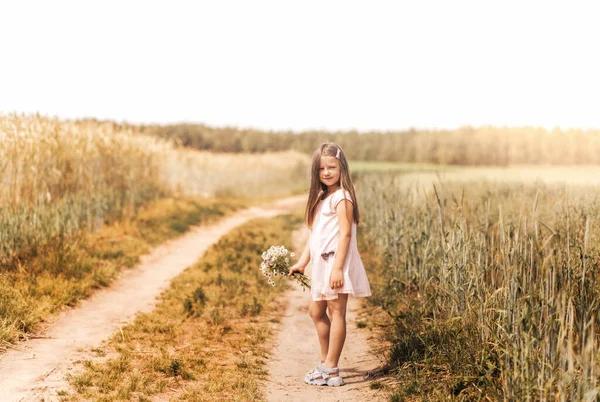 Egy Gyönyörű Kislány Egy Csokor Százszorszépséggel Búzamezőn — Stock Fotó