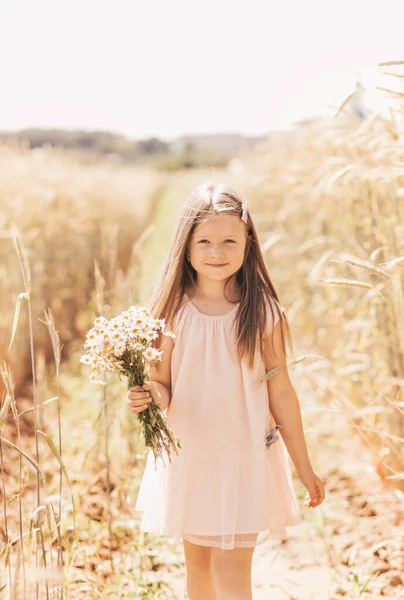 Liten Vacker Flicka Med Bukett Prästkragar Ett Vetefält — Stockfoto