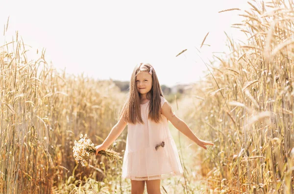 Liten Vacker Flicka Med Bukett Prästkragar Ett Vetefält — Stockfoto