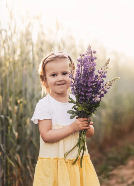 Little Girl Bouquet Lupines Field Summer Blooming Lupine Flowers Nature — Stock Photo, Image