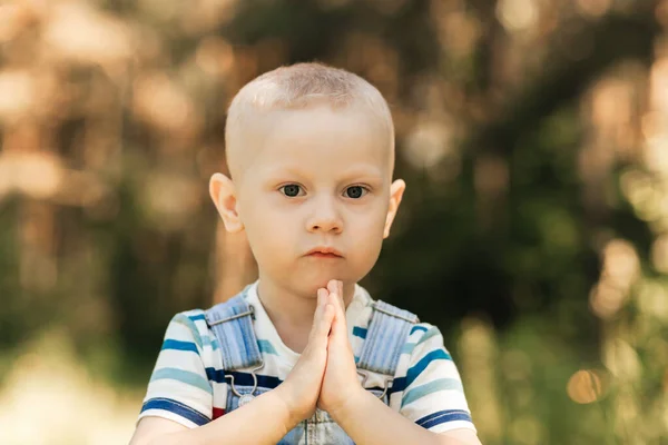 Little Boy Todler Nature Summer Portrait — Stock Photo, Image