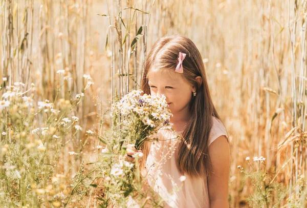 Liten Vacker Flicka Med Bukett Prästkragar Ett Vetefält — Stockfoto