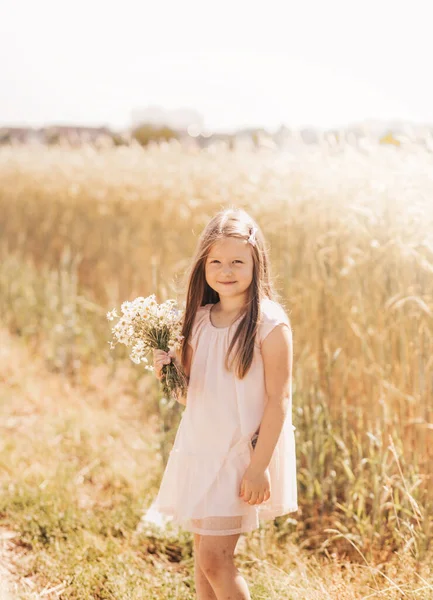 Liten Vacker Flicka Med Bukett Prästkragar Ett Vetefält — Stockfoto