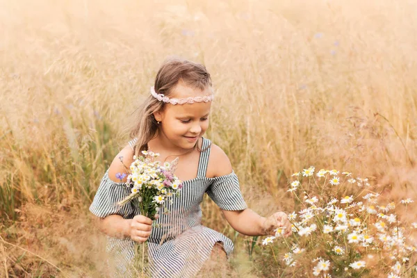 Una Niña Hermosa Recoge Margaritas Prado — Foto de Stock