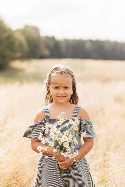 Küçük Güzel Bir Kız Çayırda Papatya Topluyor — Stok fotoğraf