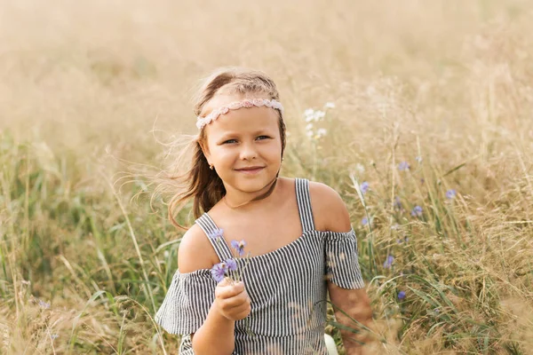 Una Niña Hermosa Recoge Margaritas Prado — Foto de Stock