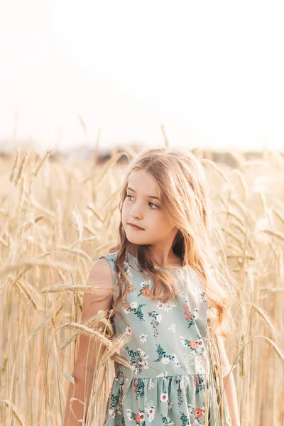 Красивая Маленькая Блондинка Длинными Волосами Ходит Пшеничному Полю — стоковое фото