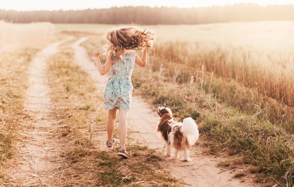 Маленька Дівчинка Печерним Королем Чарльзом Спанієль Собака Грає Влітку Природі — стокове фото