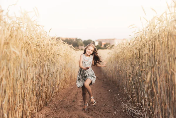 Mutlu Küçük Bir Kız Yazın Güneşli Bir Günde Buğday Tarlasında — Stok fotoğraf