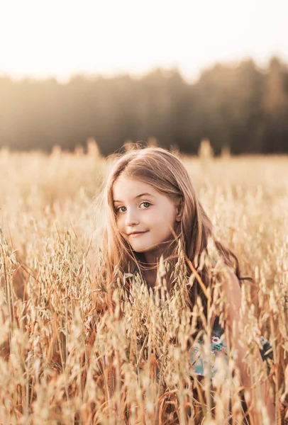Портрет Красивої Дівчини Довгим Волоссям Золотому Полі Заході Сонця — стокове фото