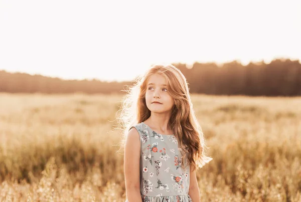 Портрет Красивої Дівчини Довгим Волоссям Золотому Полі Заході Сонця — стокове фото