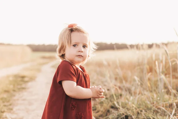 Little Cute Girl Todler Spacery Przez Pole Pszenicy — Zdjęcie stockowe