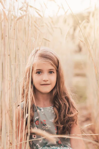 Красива Маленька Дівчинка Блондинка Довгим Волоссям Йде Через Пшеничне Поле — стокове фото