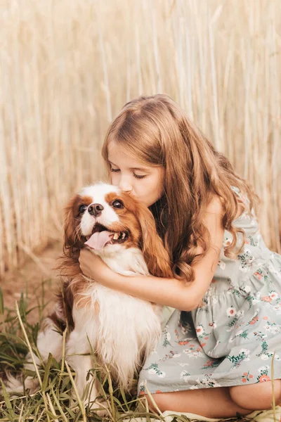 Dívka Kavalírem Král Karel Španěl Pes Hraje Létě Přírodě — Stock fotografie