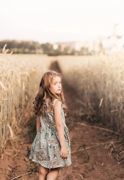 Beautiful Little Girl Blonde Long Hair Walking Wheat Field — Stock Photo, Image