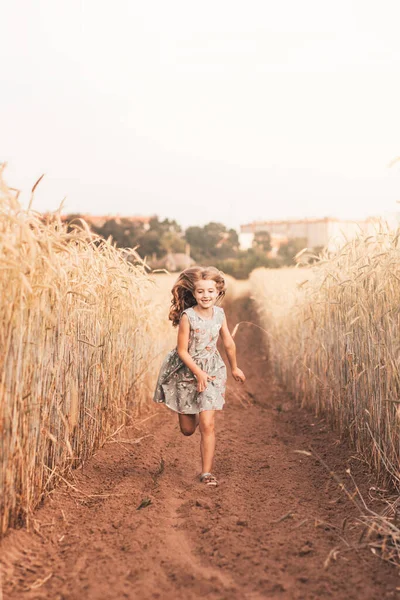 Счастливая Маленькая Девочка Бежит Пшеничному Полю Летом Солнечный День Летом — стоковое фото