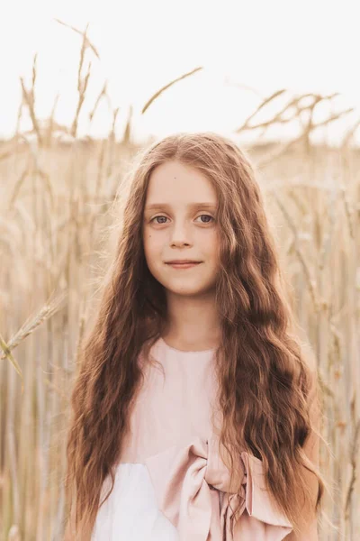 Egy Aranyos Kislány Hosszú Hajjal Búzapelyhet Tart Mezőn Nyáron Nyár — Stock Fotó