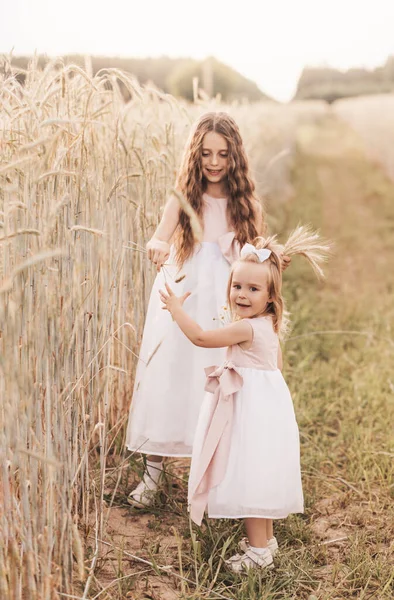 Two Little Girls Collect Spikelets Wheat Field — Stock Photo, Image