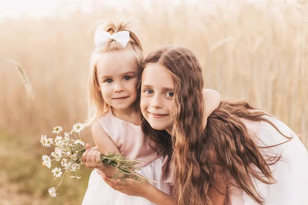 两个小女孩姐姐在夏天拥抱并采花 — 图库照片