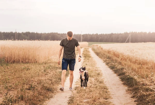 Mladý Muž Chodí Přírodě Psem Plemene Pitbulteriér — Stock fotografie