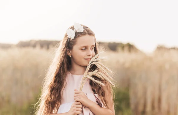Маленька Мила Дівчинка Довгим Волоссям Тримає Колоски Пшениці Полі Влітку — стокове фото