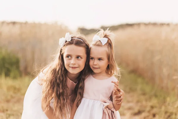 Two Cute Little Girls Dresses Hugging Nature Summer — Stock Photo, Image