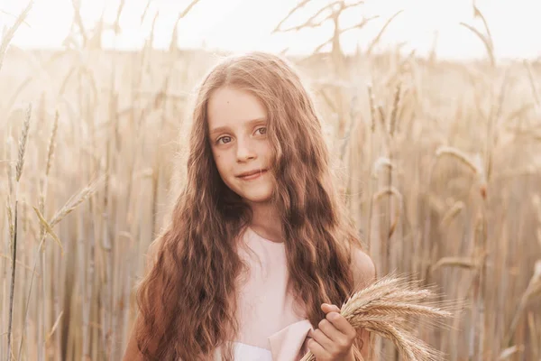 Маленька Мила Дівчинка Довгим Волоссям Тримає Колоски Пшениці Полі Влітку — стокове фото