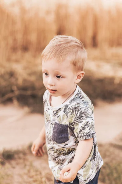 Kleine Jongen Die Zomer Door Het Veld Loopt Jeugd Zomertijd — Stockfoto