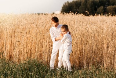 İki küçük erkek kardeş yazın doğada oynar ve yürür. Mutlu bir çocukluk. Pozitif duygular