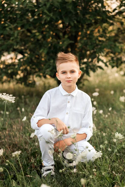 Small Handsome Boy Blonde White Shirt White Pants Nature Summer — Stock Photo, Image