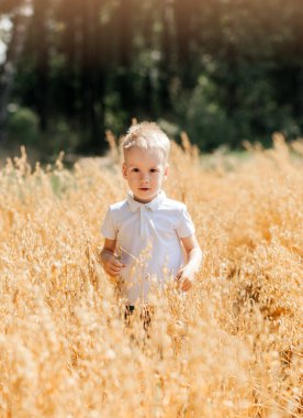 Küçük çocuk yazın tarlada yürüyor. Çocukluk. Yaz zamanı. Yaz tatili