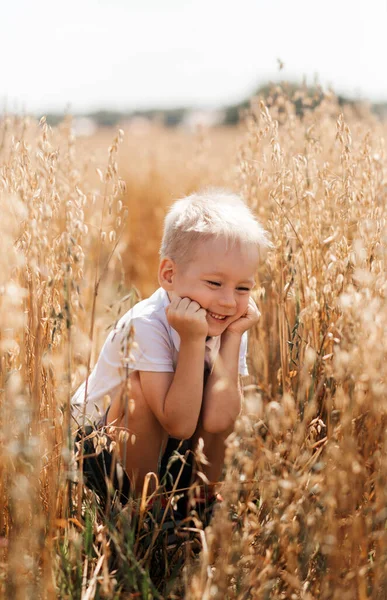 Küçük çocuk yazın tarlada yürüyor. Çocukluk. Yaz zamanı. Yaz tatili