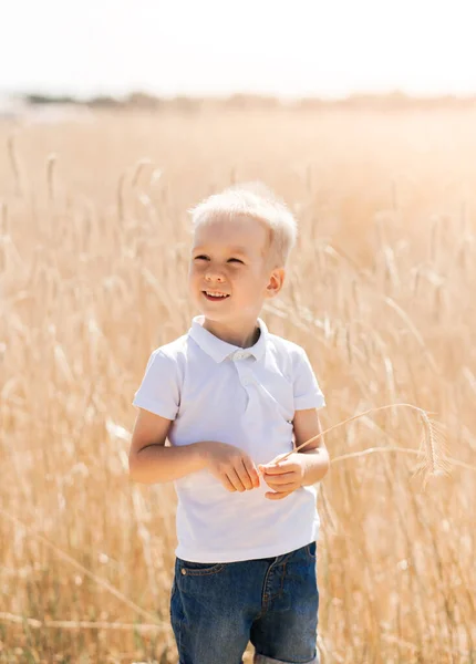 Kleine Jongen Die Zomer Door Het Veld Loopt Jeugd Zomertijd — Stockfoto