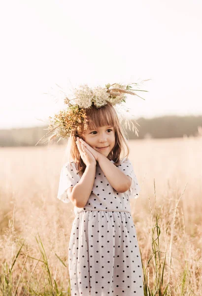 Niña Bonita Una Corona Flores Cabeza Naturaleza Verano — Foto de Stock