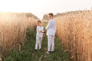 İki küçük erkek kardeş yazın doğada oynar ve yürür. Mutlu bir çocukluk. Pozitif duygular