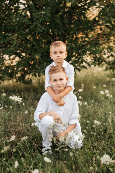 Två Små Pojkbröder Leker Och Vandrar Naturen Sommaren Lycklig Barndom — Stockfoto