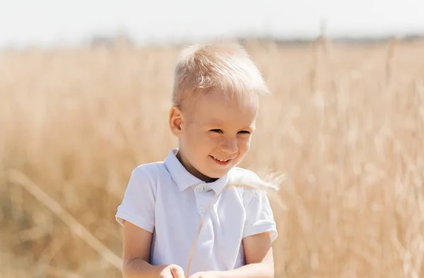 Kleine Jongen Die Zomer Door Het Veld Loopt Jeugd Zomertijd — Stockfoto