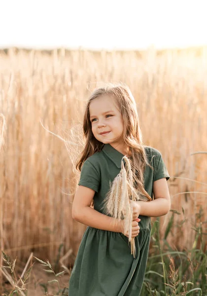 Красива Маленька Дівчинка Довгим Волоссям Проходить Через Пшеничне Поле Сонячний — стокове фото