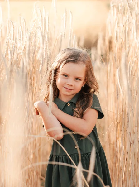 Красива Маленька Дівчинка Довгим Волоссям Проходить Через Пшеничне Поле Сонячний — стокове фото