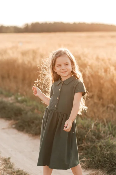 Piękna Dziewczynka Długimi Włosami Przechadzająca Się Przez Pole Pszenicy Słoneczny — Zdjęcie stockowe